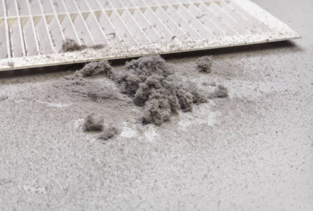 Best Affordable Air Duct Cleaning  in Laingsburg, MI