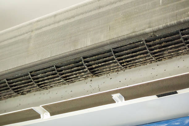 Best Emergency Air Duct Cleaning  in Laingsburg, MI